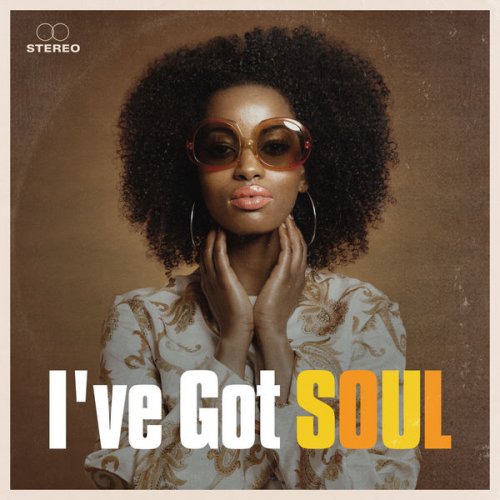 VA - I've Got Soul (2015)