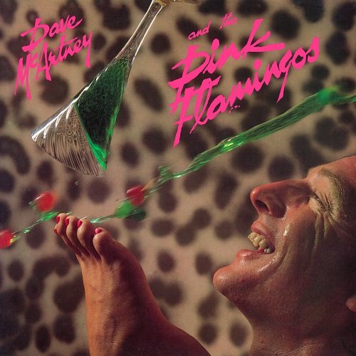 Dave McArtney and The Pink Flamingos - Dave McArtney And The Pink Flamingos (1980)