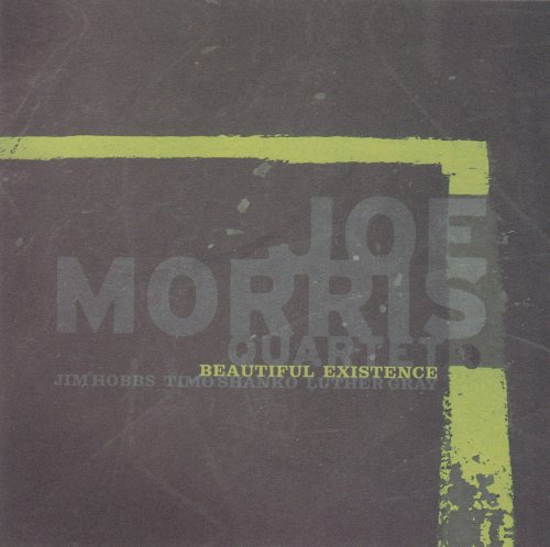 Joe Morris Quartet - Beautiful Existence (2005)