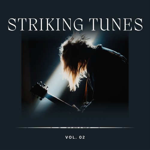 VA - Striking Tunes Vol 2 (2023)