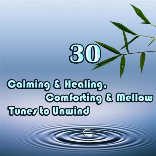 VA - Calming & Healing, Comforting & Mellow Tunes to Unwind (2023)