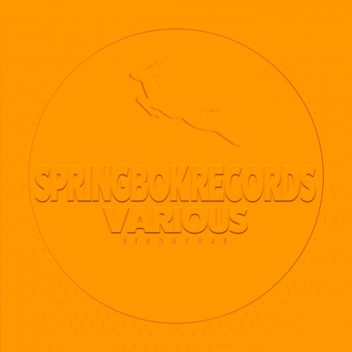 VA - Spirngbok Records Various Signature (2023)