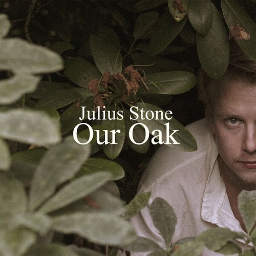 Julius Stone - Our Oak (2023)