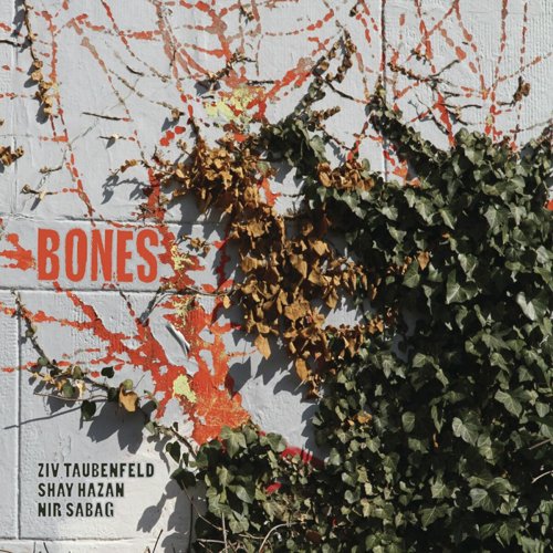 Ziv Taubenfeld, Shay Hazan, Nir Sabag - Bones (2016)