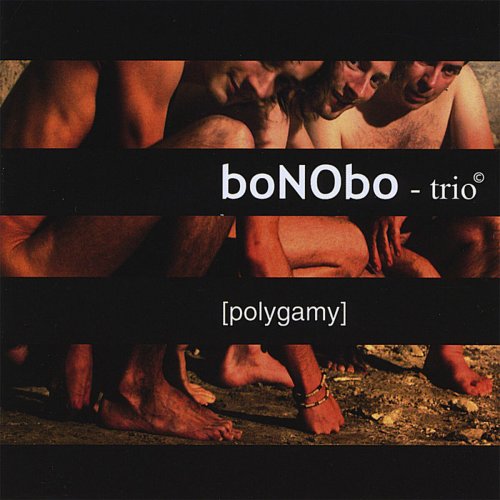 boNObo-trio - Polygamy (2008)