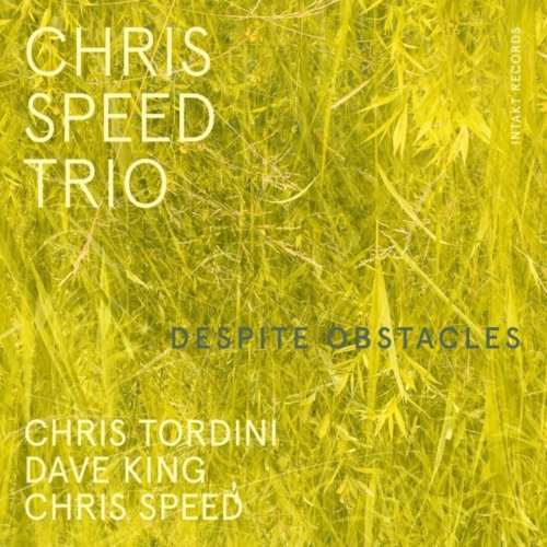 Chris Speed Trio, Dave King, Chris Tordini - Despite Obstacles (2023)