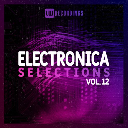 VA - Electronica Selections, Vol. 12 (2023) FLAC