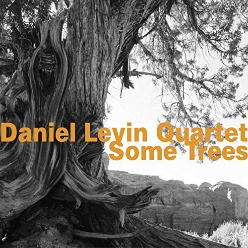 Daniel Levin Quartet - Some Trees (2006)