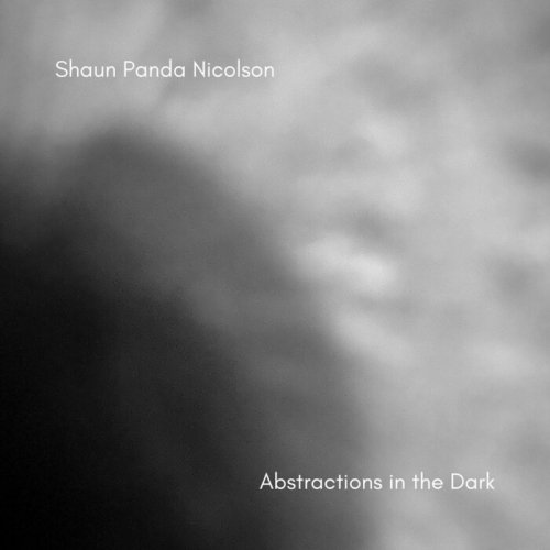 Shaun Panda Nicolson - Abstractions In The Dark (2023)