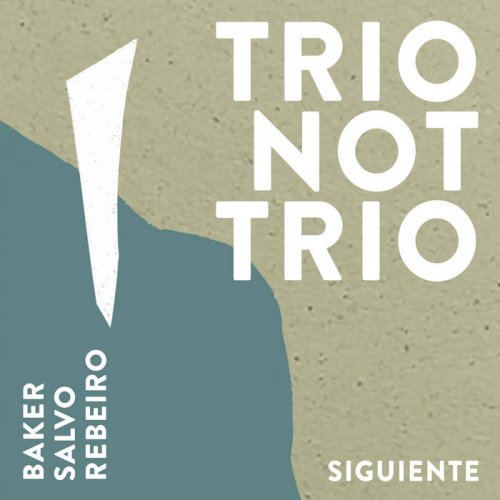 Aidan Baker, Sofia Salvo & Rohan Rebeiro - Trio Not Trio - Siguiente (2023)