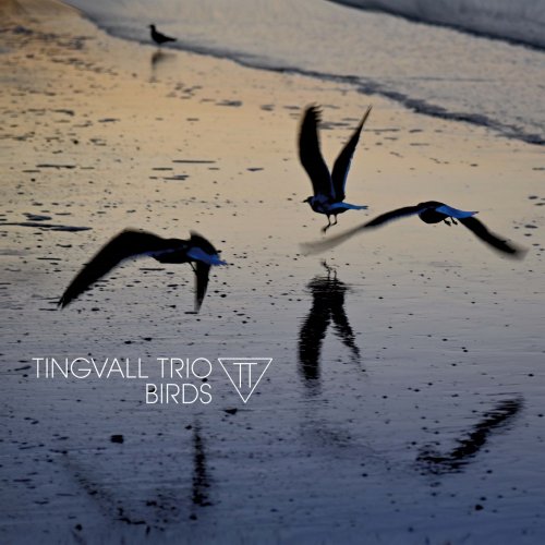 Tingvall Trio - Birds (2023) [Hi-Res]