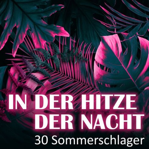 VA - In der Hitze der Nacht - 30 Sommerschlager (2023)