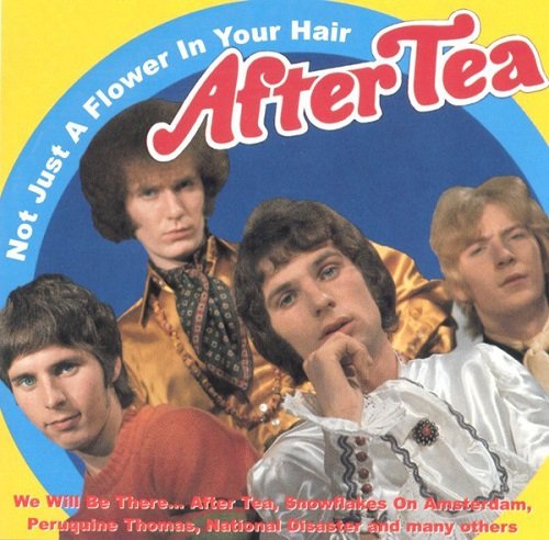 After Tea - Not Just A Flower In Your Hair (2002)