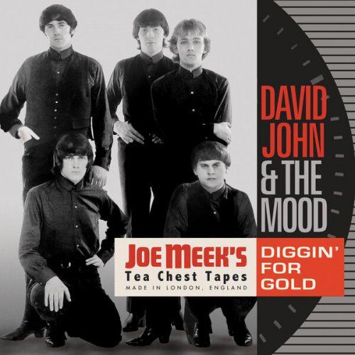 David John & The Mood - Diggin' For Gold: Joe Meek's Tea Chest Tapes (2023)