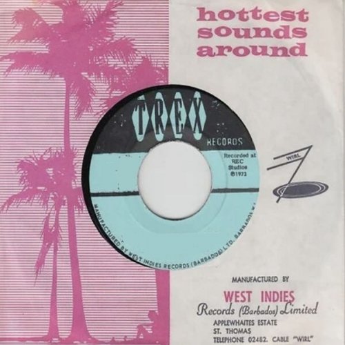 Various Artists - The Hottest Sounds Around: The Best of Trex Records, Vol. 1-7 (2022)