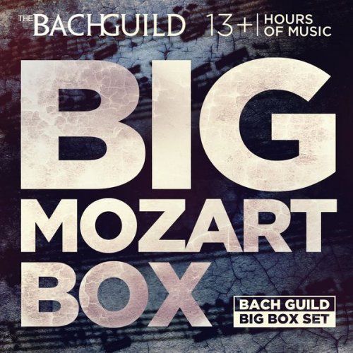 VA - Big Mozart Box (2013)