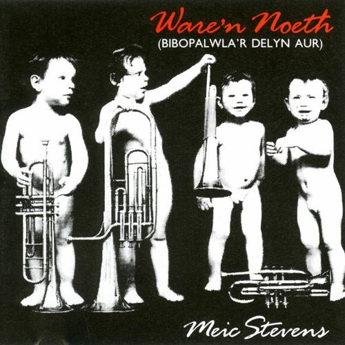 Meic Stevens - Ware'N Noeth (Bibopalwla'R Delyn Aur) (1991)