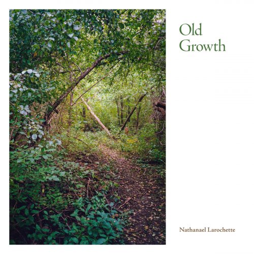 Nathanael Larochette - Old Growth (2023)