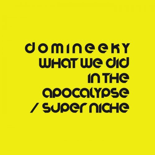 Domineeky - What We Did In The Apocalypse / Super Niche (2023)