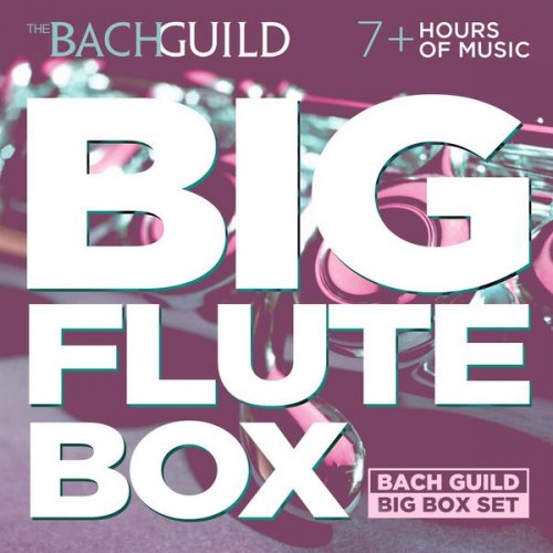 VA - Big Flute Box (2014)