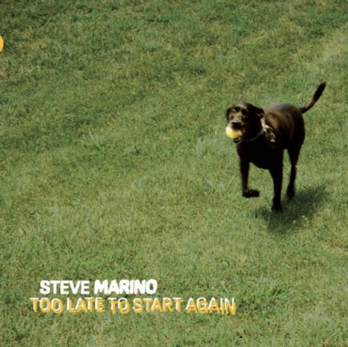 Steve Marino - Too Late to Start Again (2023) Hi Res