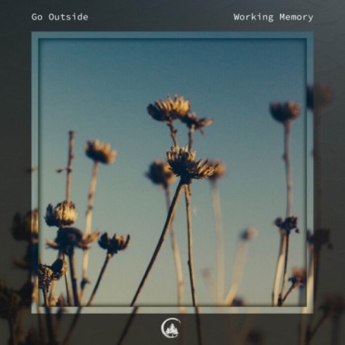 Go Outside - Working Memory (2023)