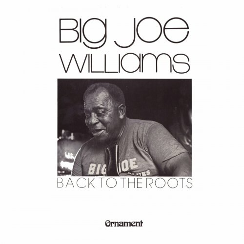 Big Joe Williams - Back to the Roots (2023)