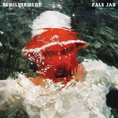 Pale Jay - Bewilderment (2023) Hi Res