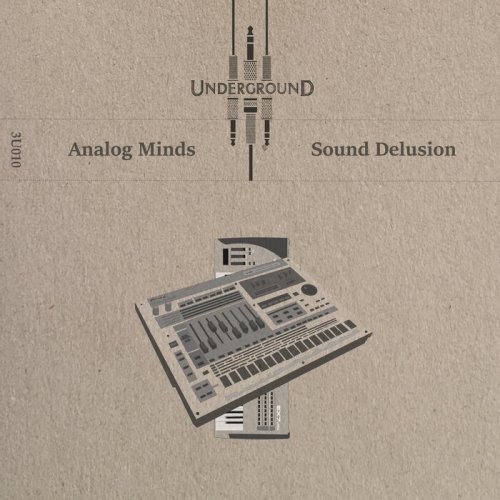 Analog Minds - Sound Delusion (2023)