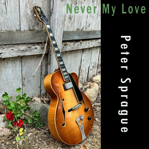 Peter Sprague - Never My Love (2023)