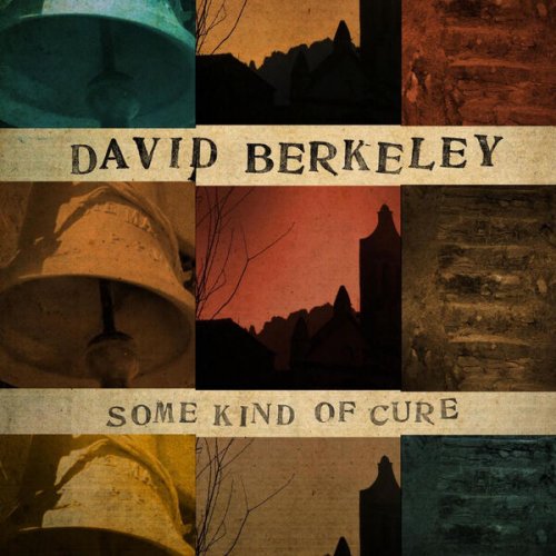 David Berkeley - Some Kind of Cure (2011)