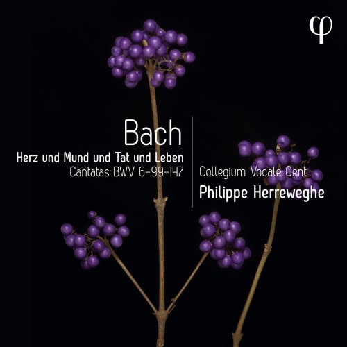 Collegium Vocale Gent & Philippe Herreweghe - Herz und Mund und Tat und Leben - Bach: Cantatas BWV 6-99-147 (2023) [Hi-Res]