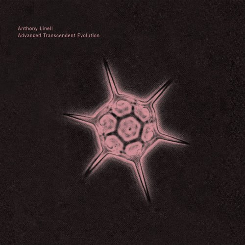 Anthony Linell - Advanced Transcendent Evolution (2023)