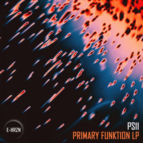 PS11 - Primary Funktion LP (2023)