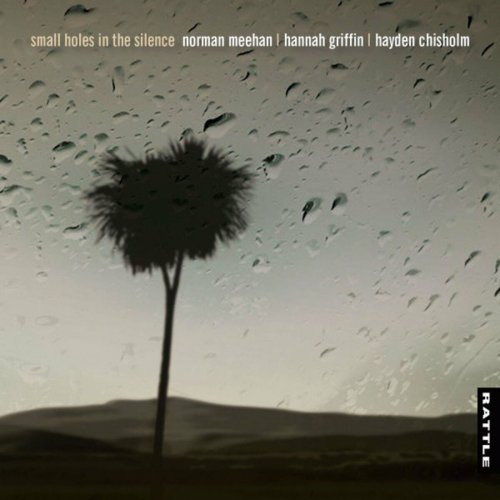 Norman Meehan - Small Holes in the Silence (2015)