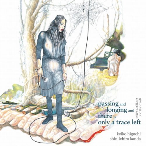 Keiko Higuchi & Shin-ichiro Kanda - Passing and Longing and There Is Only a Trace Left (2017)