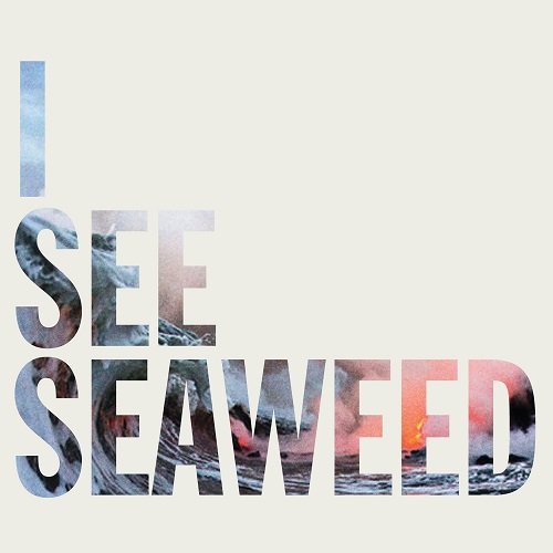 The Drones - I See Seaweed (2013)