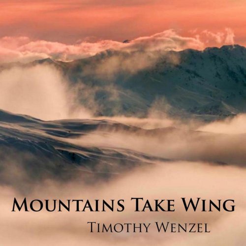 Timothy Wenzel - Mountains Take Wing (2012)