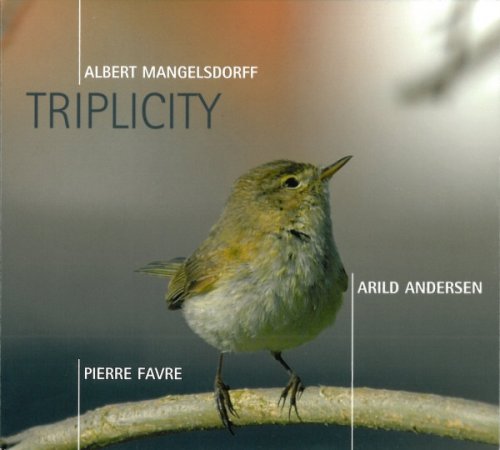 Albert Mangelsdorff, Arild Andersen, Pierre Favre - Triplicity (2005)