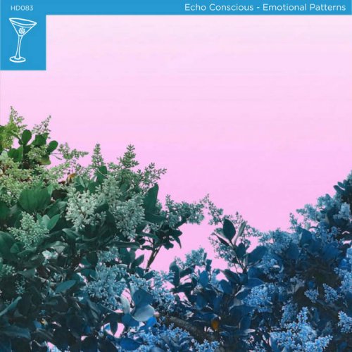 Echo Conscious - Emotional Patterns (2023)