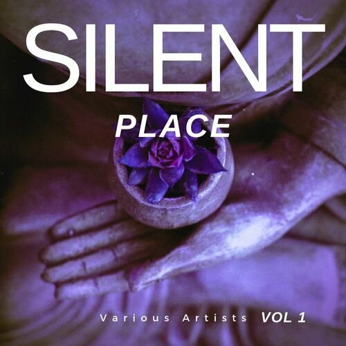 VA - Silent Place, Vol. 1 (2023)