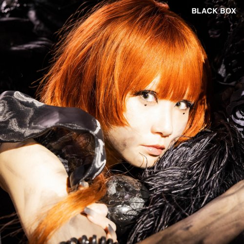 Reol - BLACK BOX (2023) Hi-Res