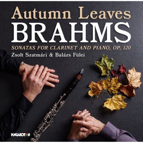 Zsolt Szatmári, Balázs Fülei - Autumn Leaves (2023) [Hi-Res]