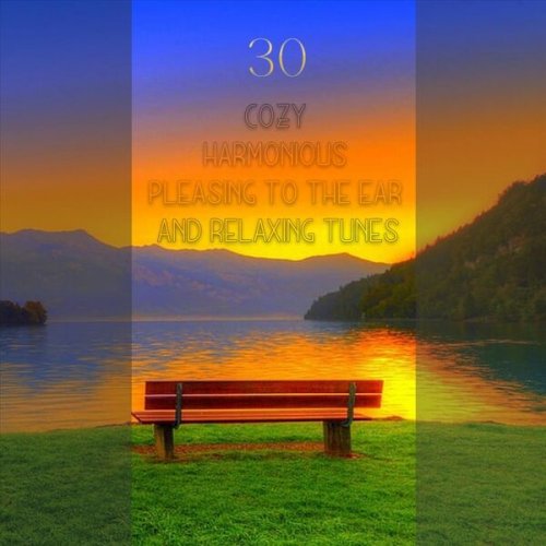 VA - 30 Cozy, Harmonious, Pleasing to the Ear and Relaxing Tunes (2023)