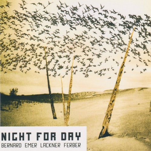 Will Bernard, Andrew Emer, Benny Lackner & Mark Ferber - Night for Day (2008)