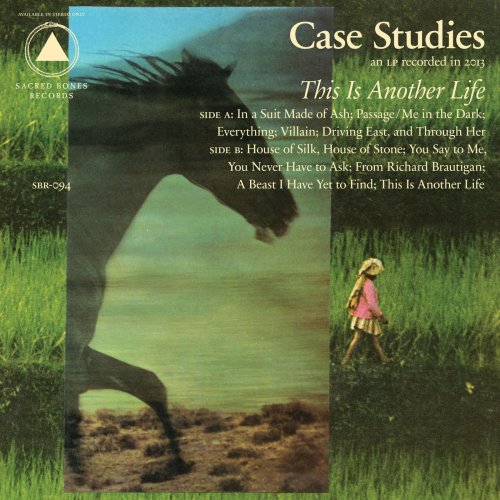 Case Studies - This Is Another Life (2013)