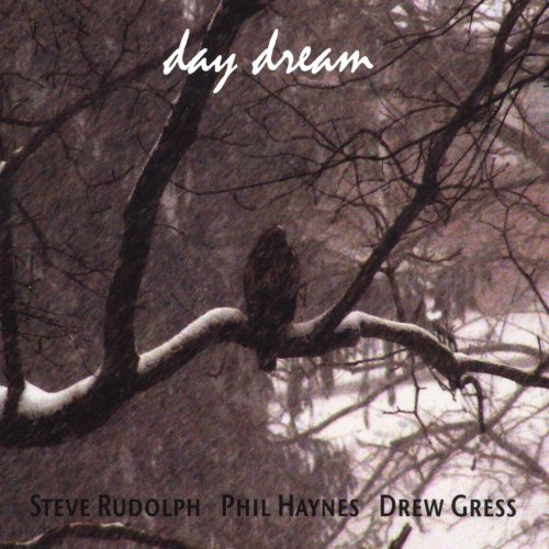 Steve Rudolph, Phil Haynes, Drew Gress - Day Dream (2009)