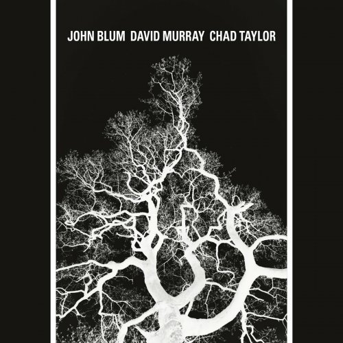 John Blum, David Murray & Chad Taylor - The Recursive Tree (2023)