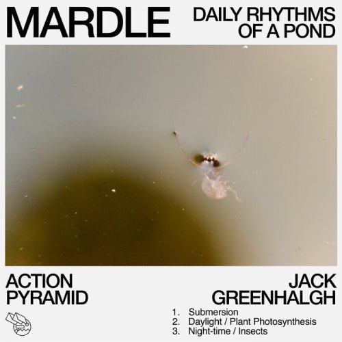 Action Pyramid & Jack Greenhalgh - Mardle: Daily Rhythms Of A Pond (2023)