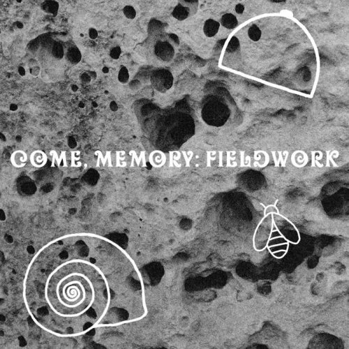 Katrina Niebergal & Bergur Anderson - Come, Memory: Fieldwork (2023)